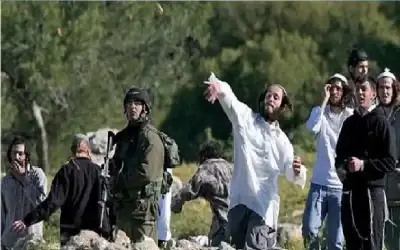 مقاومة الجدار: 1637 اعتداء للاحتلال ومستوطنيه