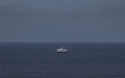 بينو يسأل: ما سبب ازدياد حالات