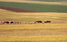 الحرارة أعلى من معدلاتها بـ 6