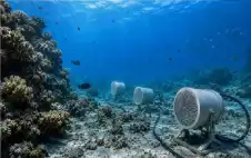 لماذا يضع العلماء مكبرات صوت في