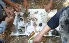 داخل القبر.. محاولة وضع “حجاب” بفم