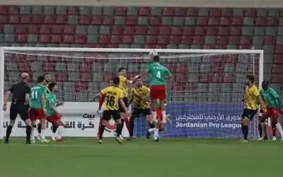 فوائد اليانسون والنعناع