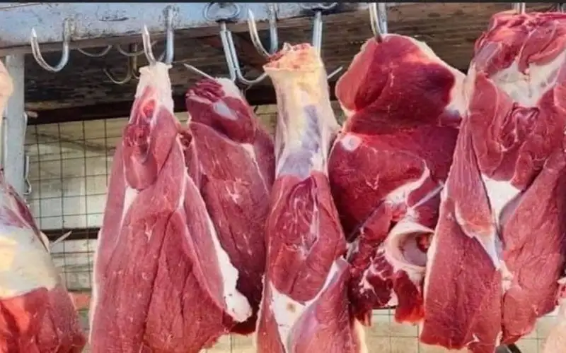 صحيفة نيسان ـ بعد الجدل .. الجمارك تكشف تفاصيل