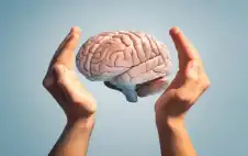 دراسة أميركية تكشف أسرارا عن مخ