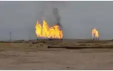 ارتفاع إنتاج حقل الريشة الغاstrongزيstrong من