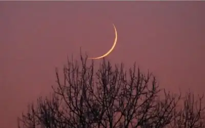 اتحاد عمان يعادل الفيصلي في سلسلة