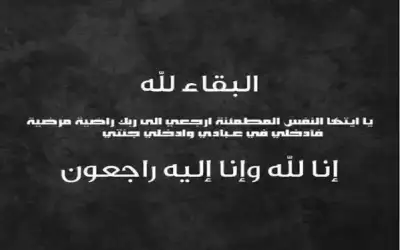 الرئيس المصري: القضية الفلسطينية جوهر الأزمات