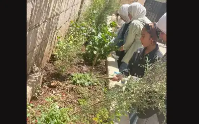 تنفيذ الجلسة الثالثة برنامج عقول صحية،