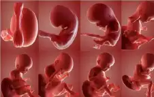 الخبرات الحياتية من الأب إلى الأبناء