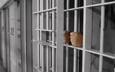 الملك: نريد أحزابا قائمة على برامج