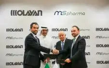 إم إس فاstrongرمstrongا تعلن عن استثمار