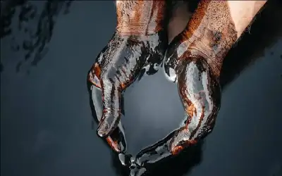 بعد 253 عاما من صنعها.. آلة
