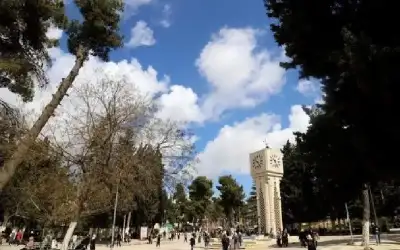 17 شاحنة .. دفعة مساعدات ثانية