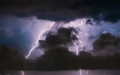 14 وفاة و808 إصابة جديدة بفيروس