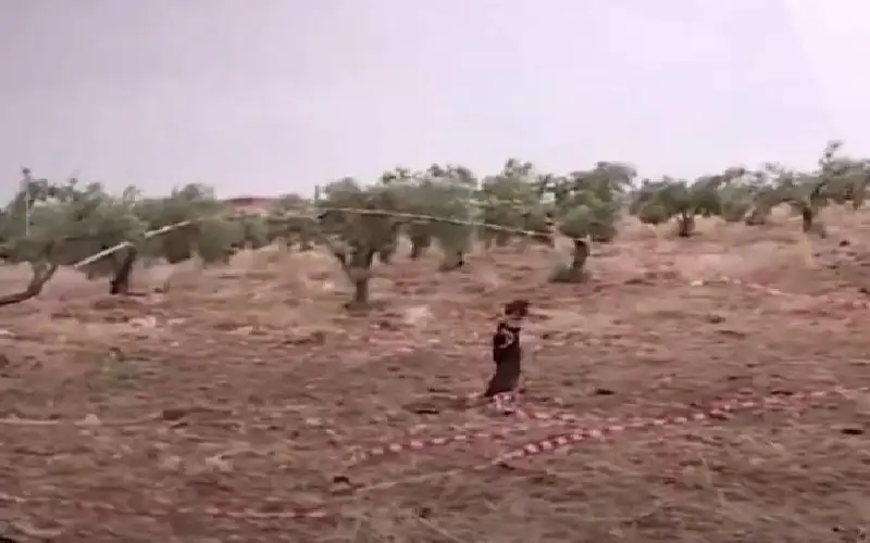صحيفة نيسان ـ الجيش: إسقاط مسيرة دخلت الأجواء الأردنية