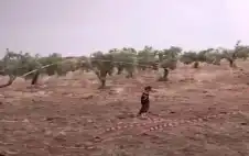 الجيش: إسقاط مسيرة دخلت الأجواء strongالأردنstrongية