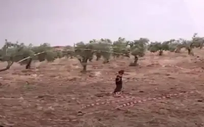 العريس يهرب والأب ينقذ الموقف ويتزوج