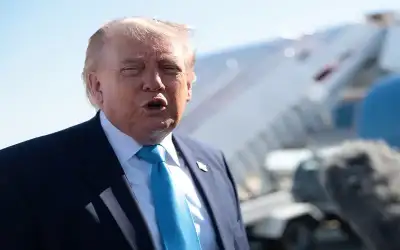 بعد فحص 300 كيلوغرام من جليد
