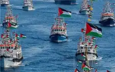 الخارجية تعلن وصول أردنيين شاركا بأسطول