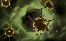 الstrongصحةstrong العالمية: من الخطأ الاستخفاف بمخاطر