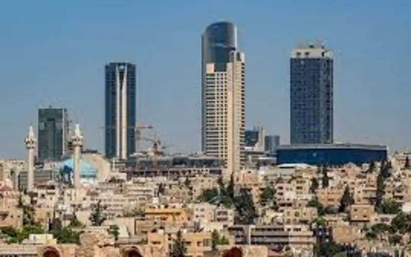 313 بطاقة مستثمر خلال 3 أشهر