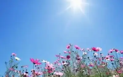 بتوجيهات ملكية .. قافلة مساعدات طبية