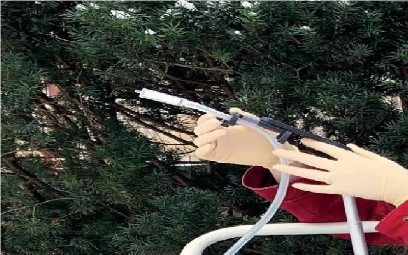 بعد التراب والماء.. استخراج الحمض النووي