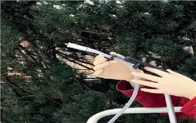 وفيات الاثنين 1762019
