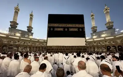 زين تهنئ الملك وولي العهد والأسرة