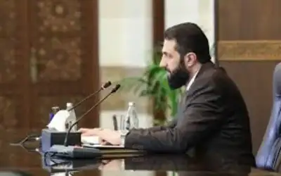 منشطات جنسية على بسطات وسط البلد