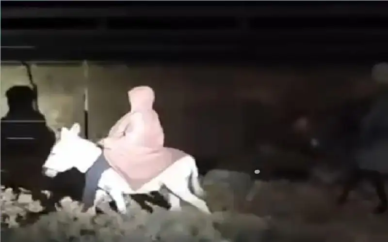 مستوطنون يهاجمون تجمعا شرق الطيبة برام