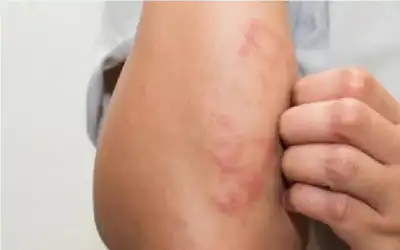 الحكومة تقر زيادة رواتب الأئمة والمؤذنين