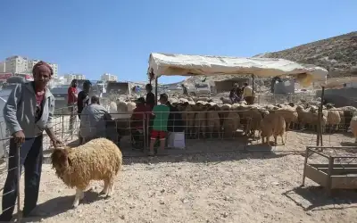 ما فائدة وضع البعض عملة معدنية