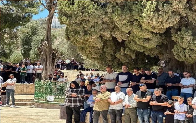 بثالث أيام العيد.. 60 ألف مصل