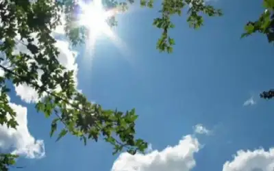 طق شرش الحيا