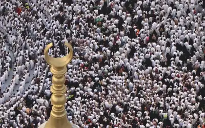 العيسوي: الأردن يكتب فصلا جديدا من