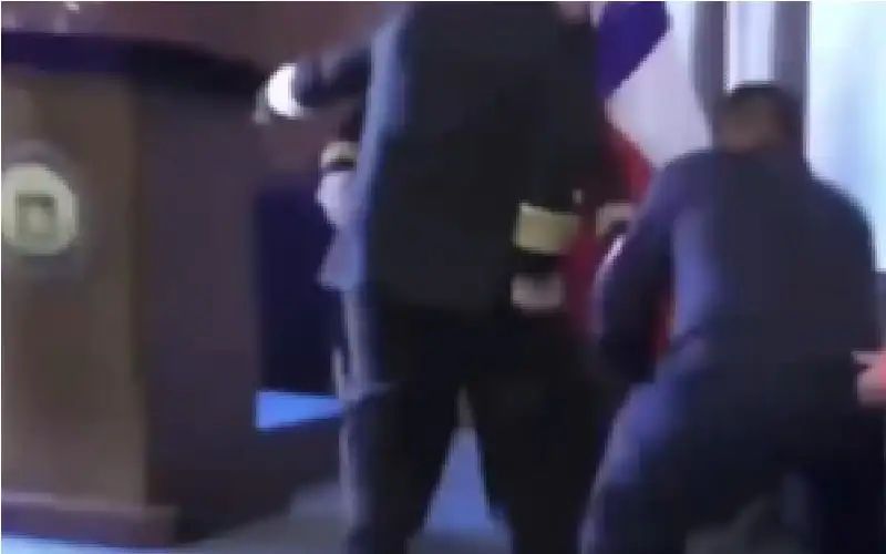 شاهد.. كلبة شرطة مدربة على شم
