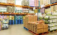 الاحصاءات: ارتفاع أسعار تجارة الجملة 1.13%