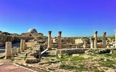 0  0  إصابة فلسطيني
