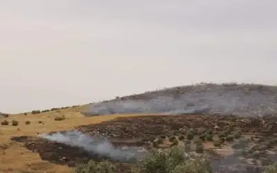 ترامب يواجه مأزقا بسبب بي بي