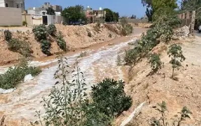 ضبط مركبة بداخلها 380 حبة كبتاغون