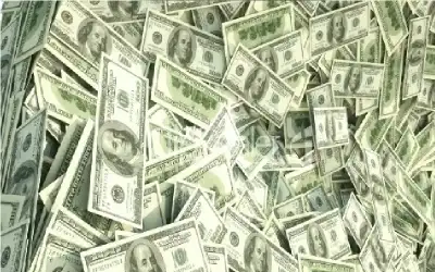 10 بلاغات وإغلاق 100 مدرسة.. دب