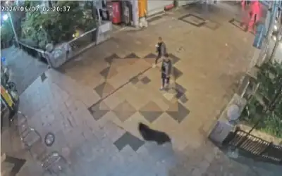 النمسا تفرض حجرا على غير المطعمين