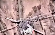 التلفstrongزيstrongون الرسمي الإيراني يعلن مقتل عسكريين