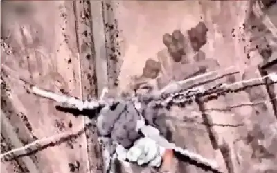 وزارة العمل: قانون تنظيم العمل المهني