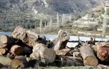 “زراعة عجلون”: ضبط مركبة محملة بحطب