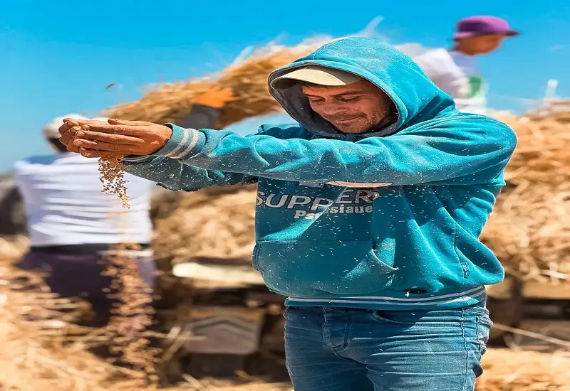 من الأرض إلى السيادة الغذائية: مبادرة