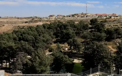 فريق جامعة عمان الأهلية يتألق في
