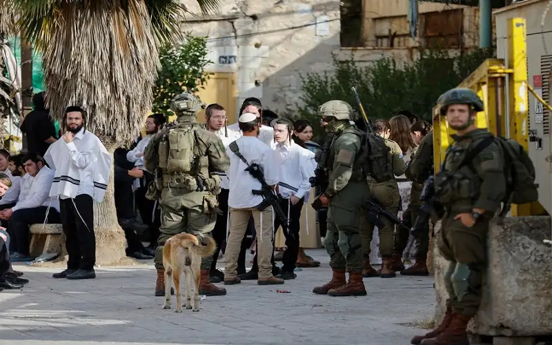 مستوطنون يهاجمون المزارعين شمال غرب نابلس