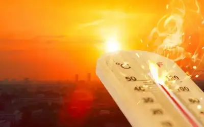 إنقاذ طفلة من الغرق في شاليه
